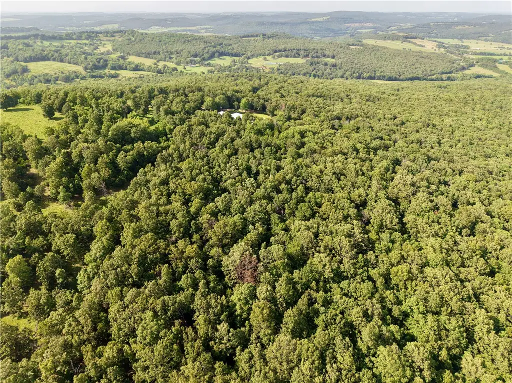 TBD Madison 6376, Elkins, AR 72727 - #1