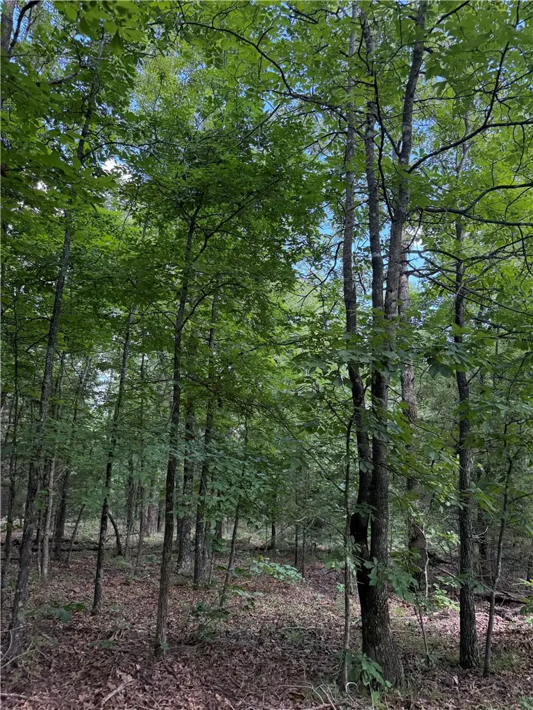 TBD Madison 6376, Elkins, AR 72727 - #3
