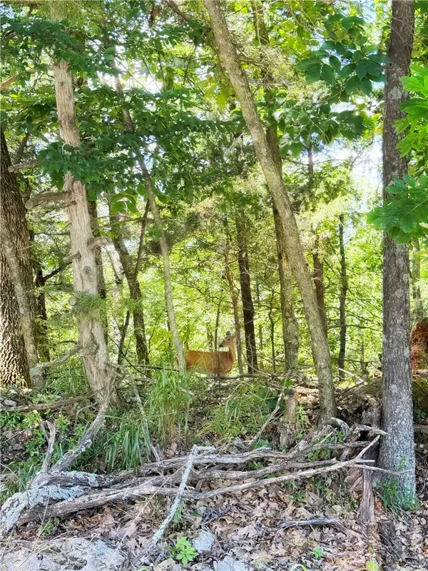 Lot 94 Oak Leaf Circle, Garfield, AR 72732