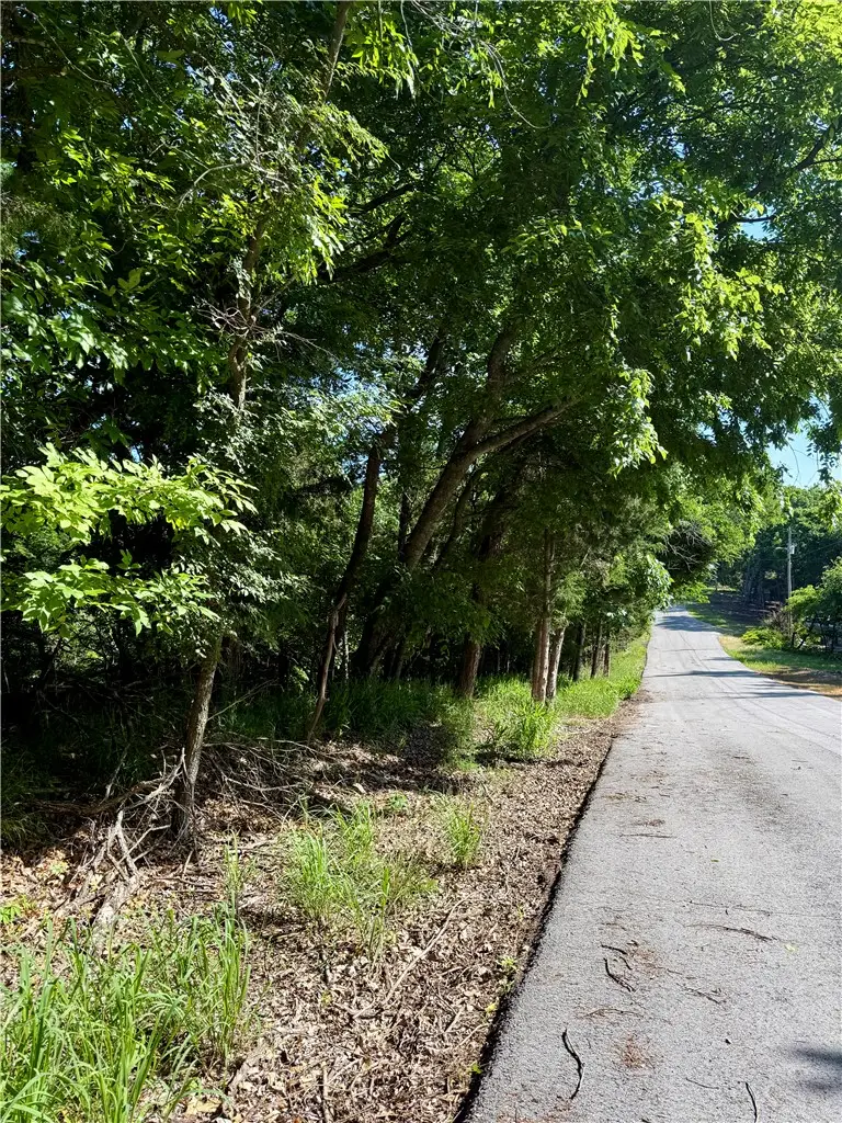 Lot 94 Oak Leaf Circle, Garfield, AR 72732 - #2