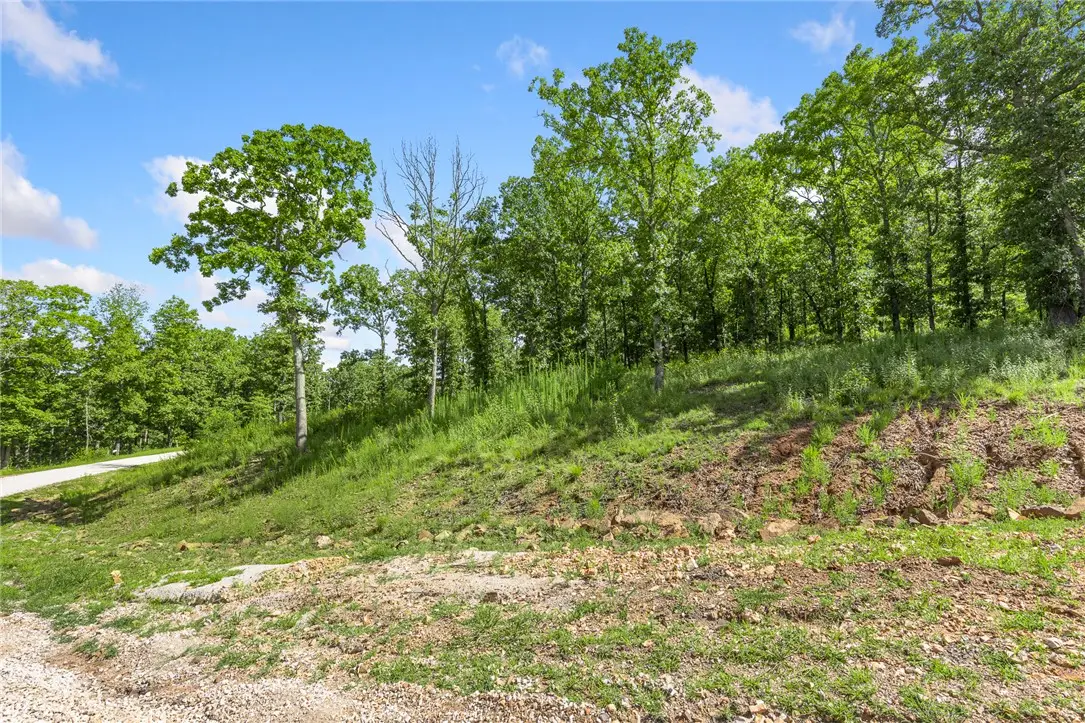 Lot 22 Restore Ridge, Harrison, AR 72601 - #1