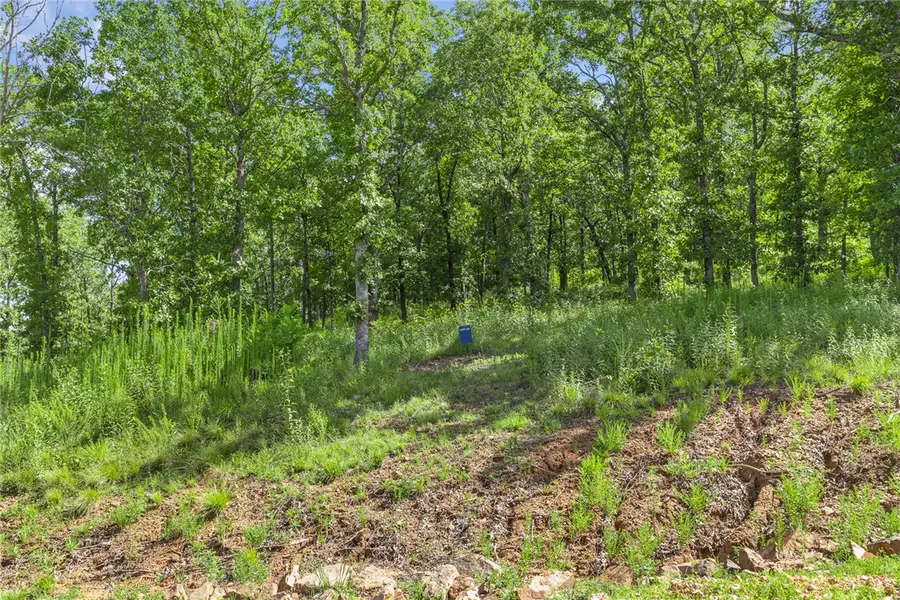 Lot 22 Restore Ridge, Harrison, AR 72601 - #3