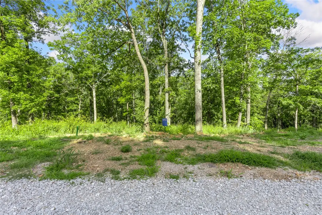 Lot 69 Restore Ridge, Harrison, AR 72601 - #1