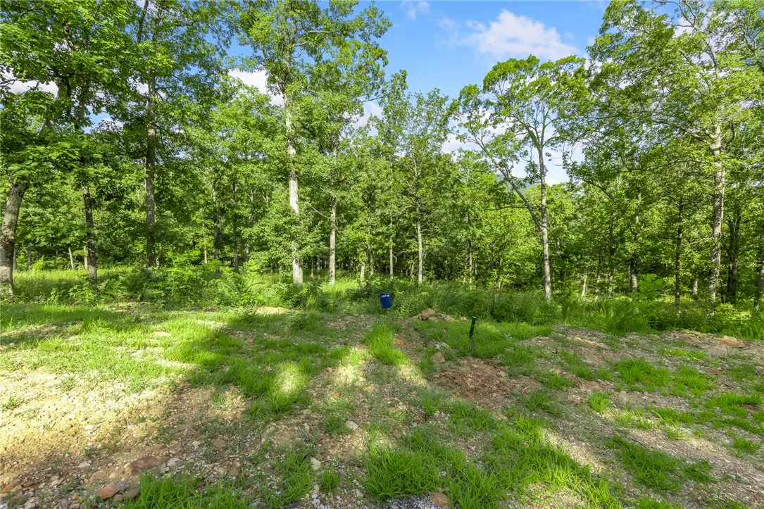 Lot 75 Restore Ridge, Harrison, AR 72601 - #1