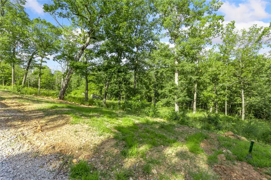 Lot 75 Restore Ridge, Harrison, AR 72601 - #3