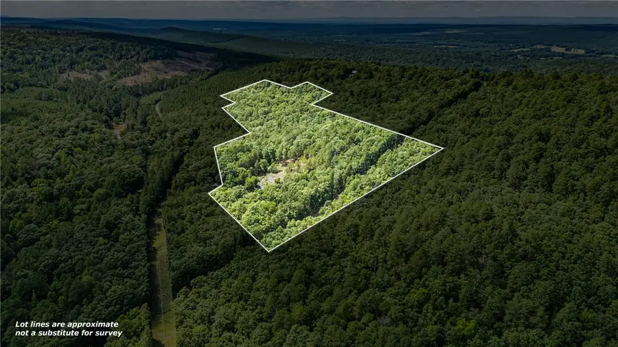 TBD Nichols Lane, Delaware, AR 72835 - #2