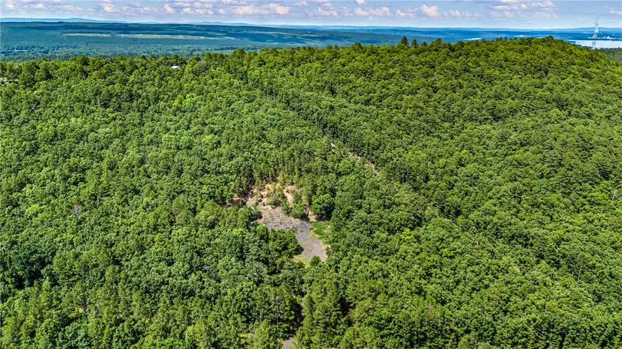 TBD Nichols Lane, Delaware, AR 72835 - #3