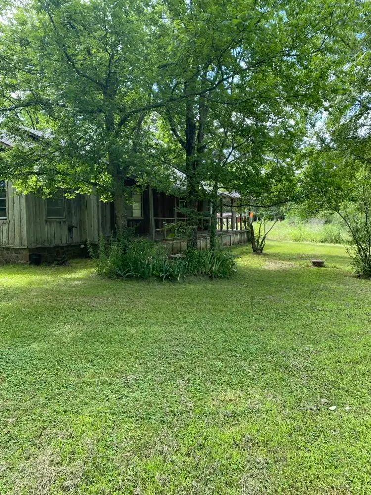 220 S Davis Avenue, Plainview, AR 72857 - #3