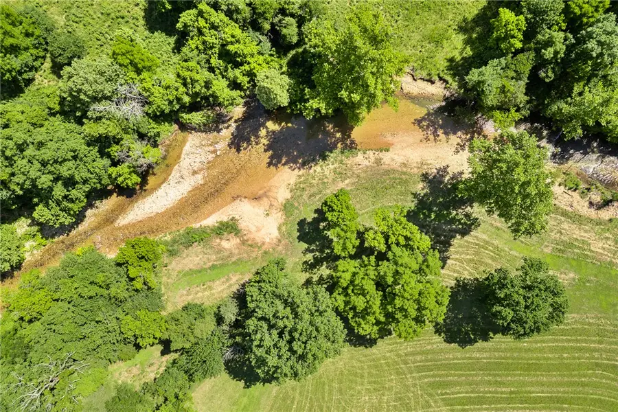 13136 N Cedar Grove Road, Lead Hill, AR 72644 - #3