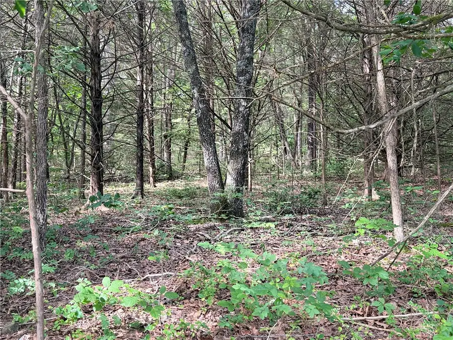 Lot 10 Seaton Drive, Bella Vista, AR 72714 - #2