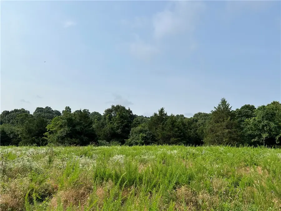 N Center Loop, Harrison, AR 72601 - #2