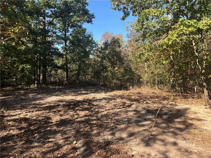 TBD W Tanyard Hollow Road, Bentonville, AR 72712 - #3