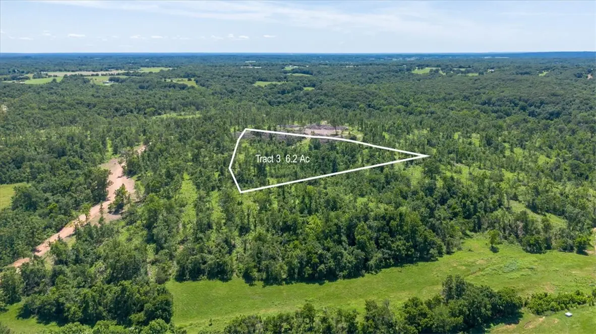 Lot 3 Adams Road, Goodman, MO 64843 - #1