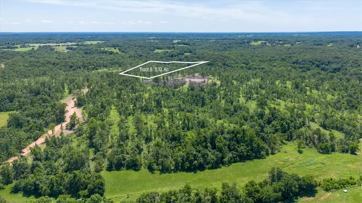 Lot 8 Adams Road, Goodman, MO 64843 - #1