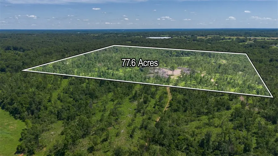 Lot 8 Adams Road, Goodman, MO 64843 - #3