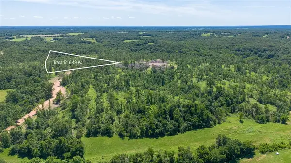 Lot 12 Adams Road, Goodman, MO 64843