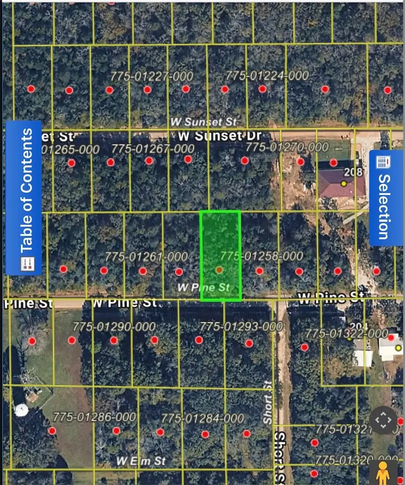 TBD W Pine Street, Lead Hill, AR 72644 - #1
