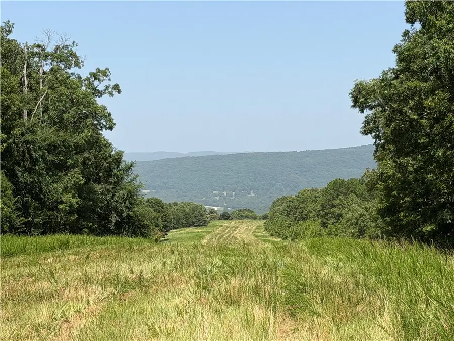 001 Madison 3202, Huntsville, AR 72740 - #3
