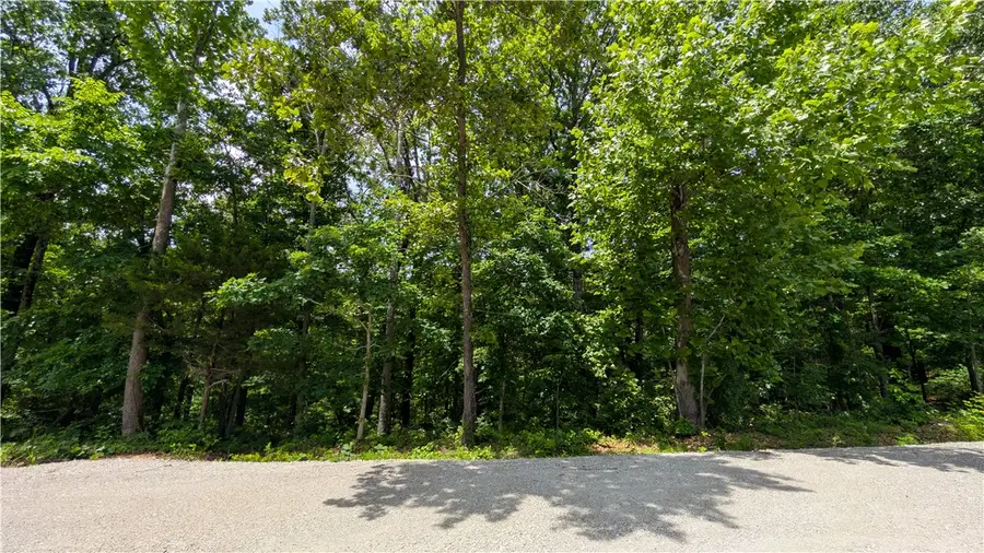 Lot 41 Hornsea Lane, Bella Vista, AR 72714 - #2