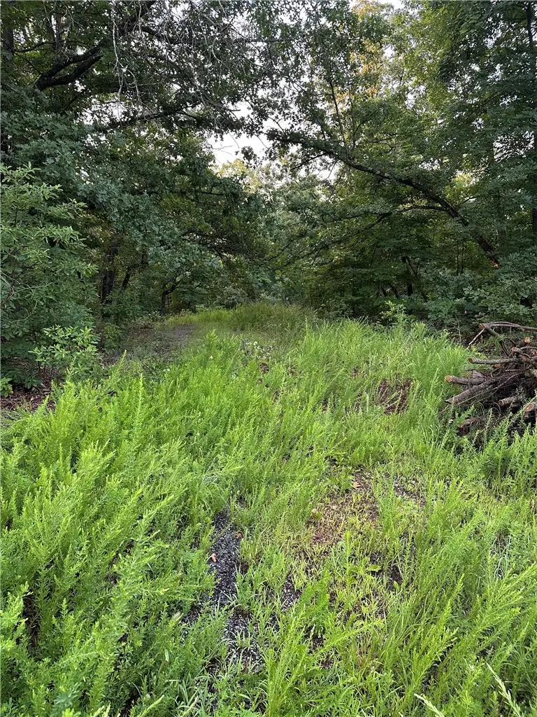 Lot 12 Denver Lane, Bella Vista, AR 72714 - #1