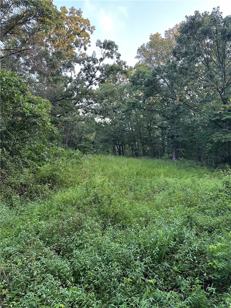 Lot 12 Denver Lane, Bella Vista, AR 72714 - #2