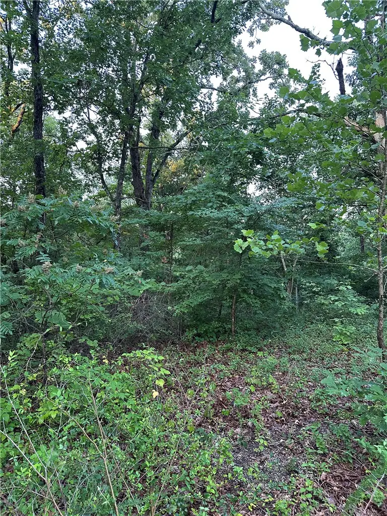 Lot 12 Denver Lane, Bella Vista, AR 72714 - #3