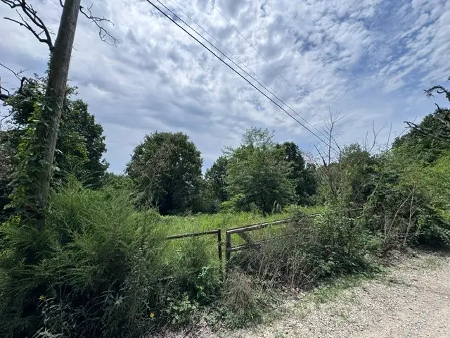 001-06286-001 Cr 484, Clarkridge, AR 72623 - #2