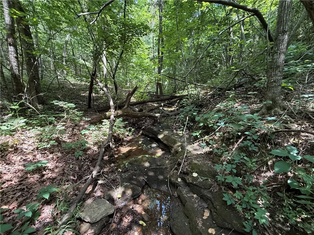TBD Old Hwy 7, Jasper, AR 72641 - #1