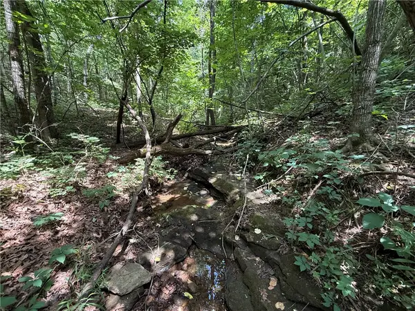 TBD Old Hwy 7, Jasper, AR 72641
