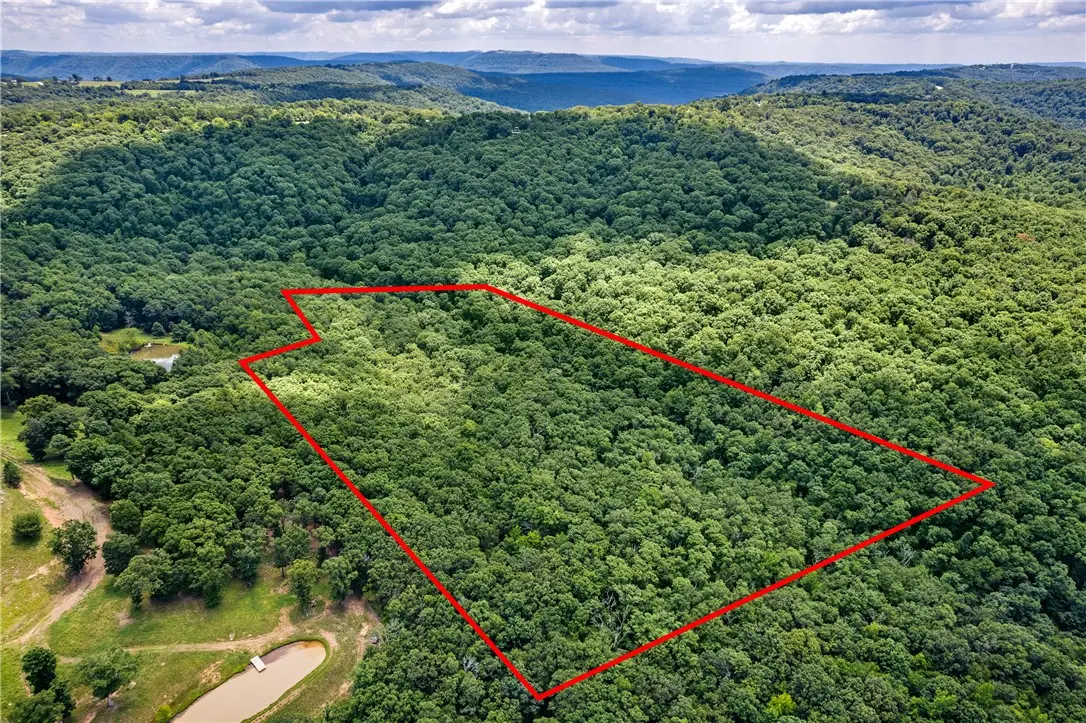 TBD Hollow Lane, Winslow, AR 72959 - #1