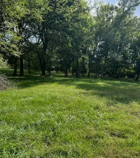 1498 Viney Grove Road, Prairie Grove, AR 72753 - #2