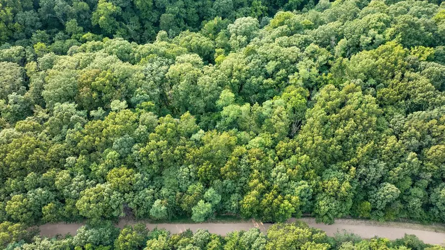 Lot 377 Arabian Lane, Rogers, AR 72756 - #2