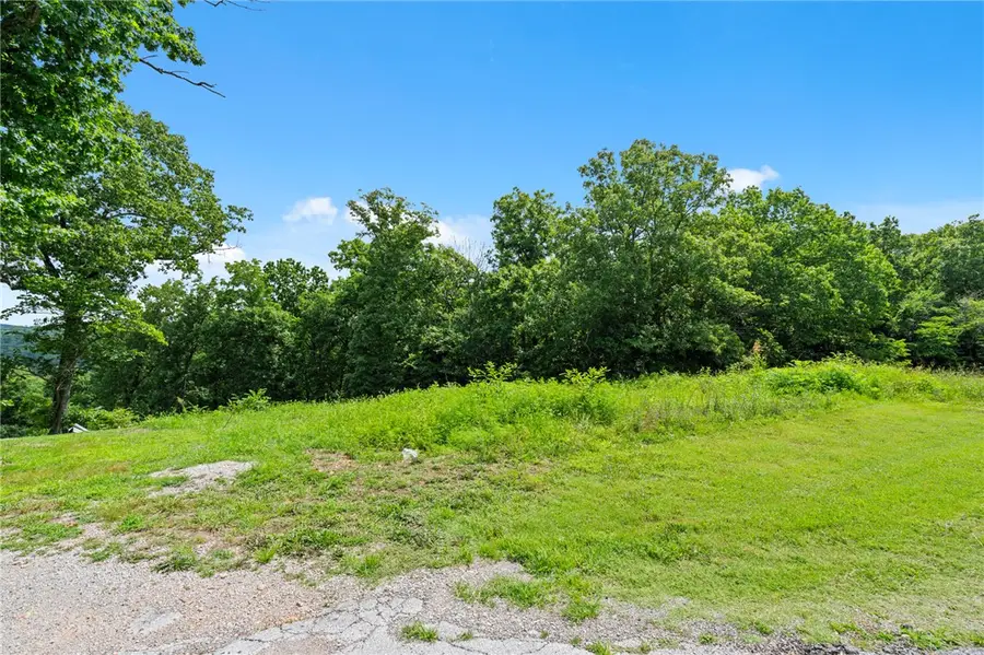 TBD Boat Dock Road West, Omaha, AR 72662 - #2