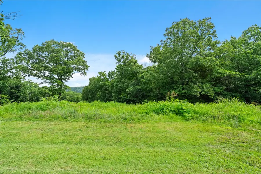TBD Boat Dock Road West, Omaha, AR 72662 - #3