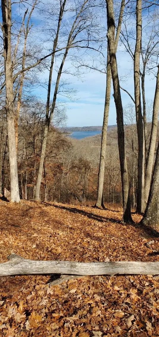 LOT 21 Mundell Road, Eureka Springs, AR 72631 - #1