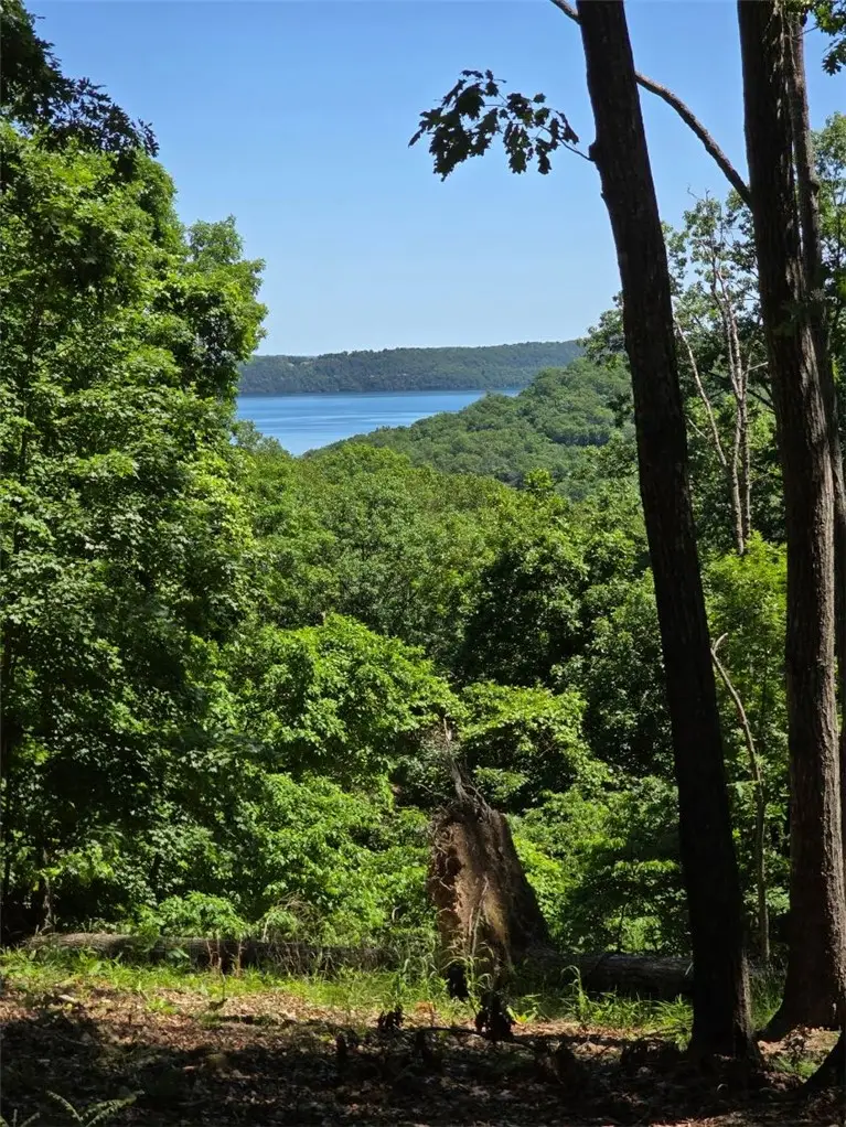 LOT 21 Mundell Road, Eureka Springs, AR 72631 - #2