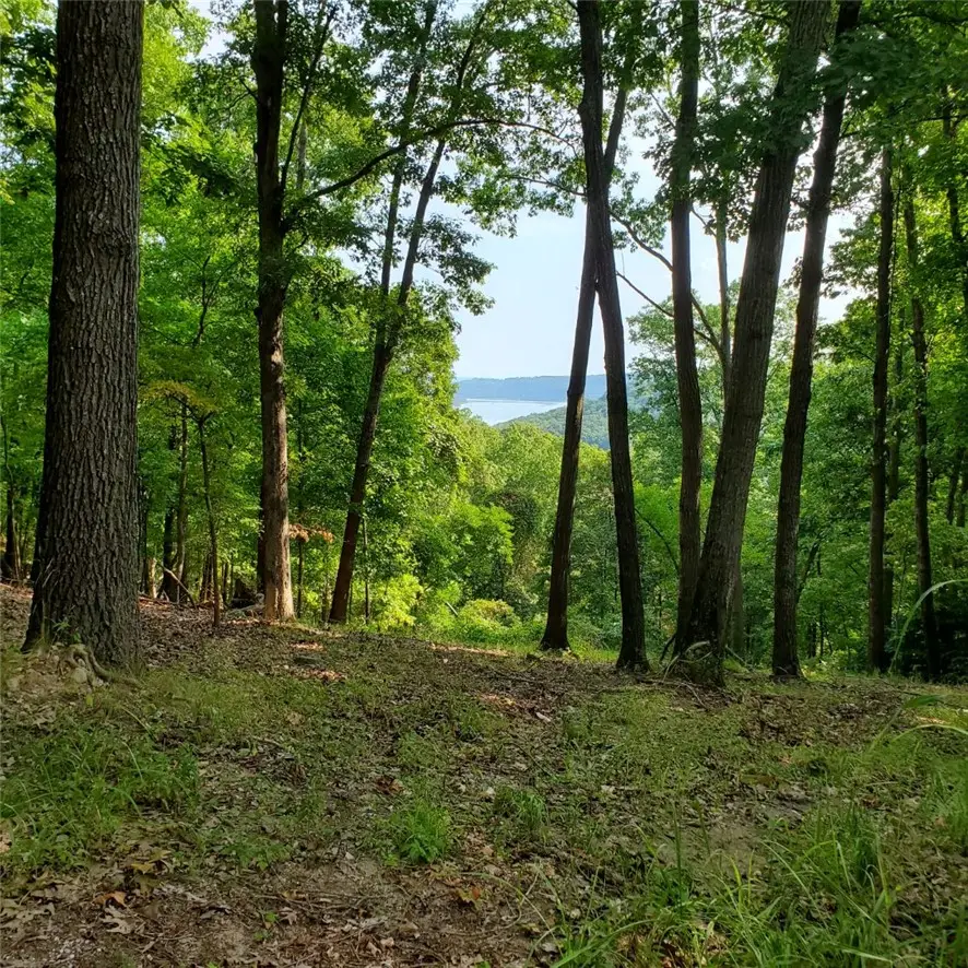 LOT 21 Mundell Road, Eureka Springs, AR 72631 - #3
