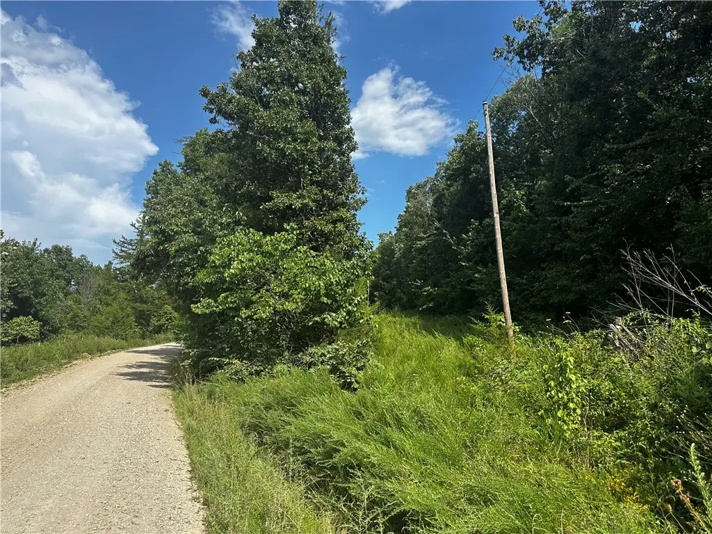 Marion County 4019, Everton, AR 72633 - #1