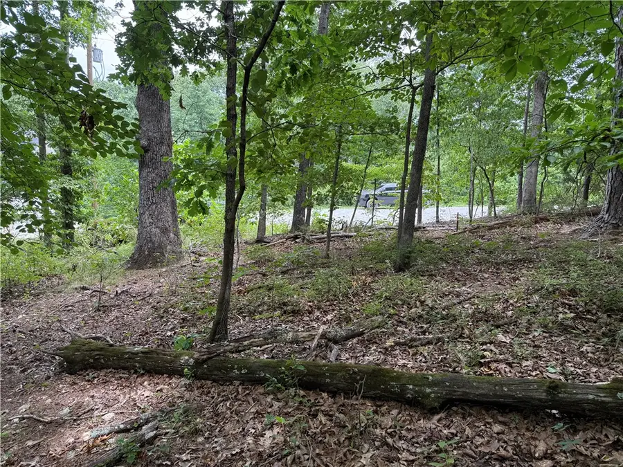 15 Dregg Lane, Bella Vista, AR 72714 - #2
