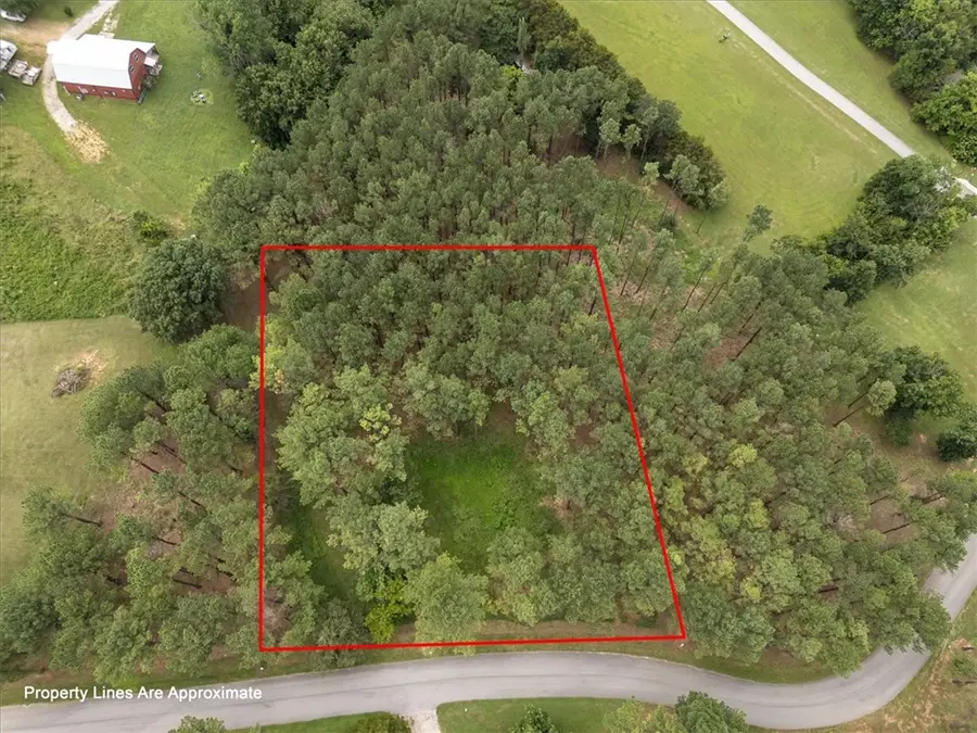 25 Pine Meadow Drive, Berryville, AR 72616 - #2