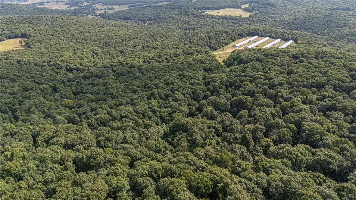 TBD Malico Mountain Road, West Fork, AR 72774 - #1