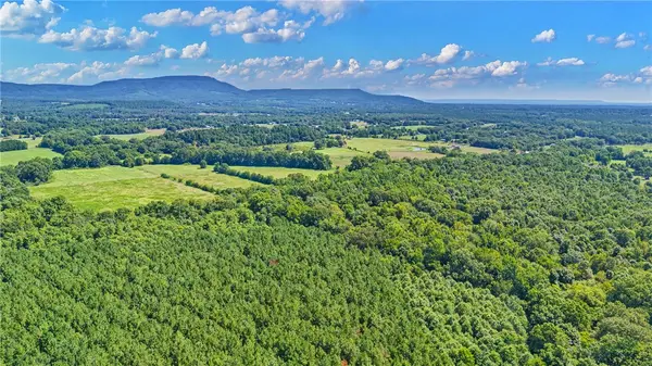10972 A Cowger Lane, Dardanelle, AR 72834