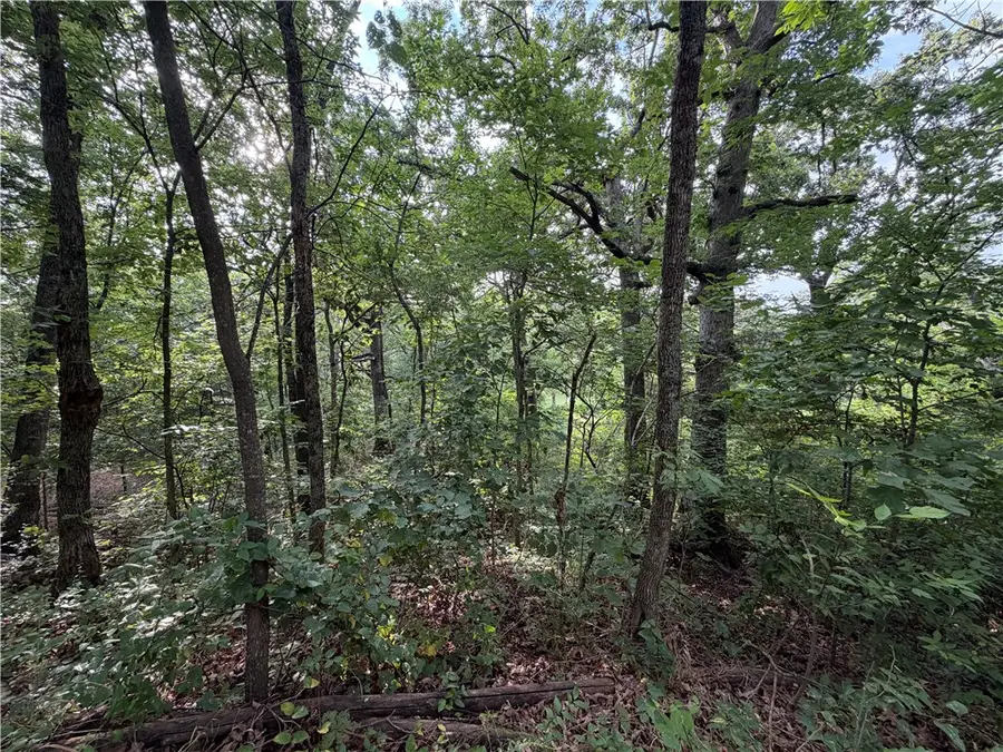 Circle Drive, Huntsville, AR 72740 - #2