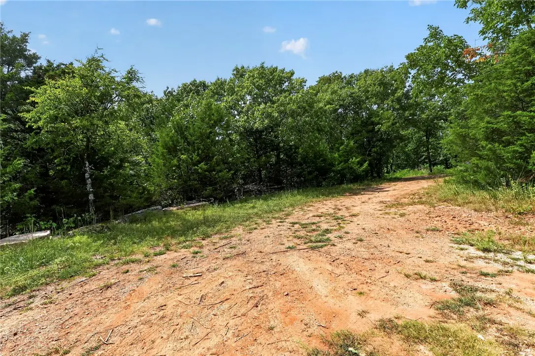 14295 Blue Mountain Road, Prairie Grove, AR 72753 - #1