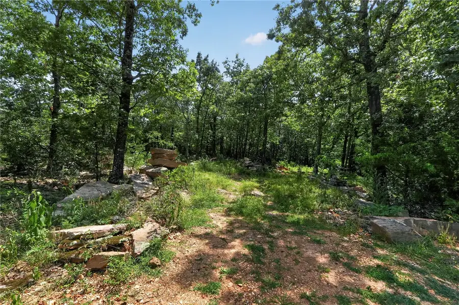 14315 Blue Mountain Road, Prairie Grove, AR 72753 - #3