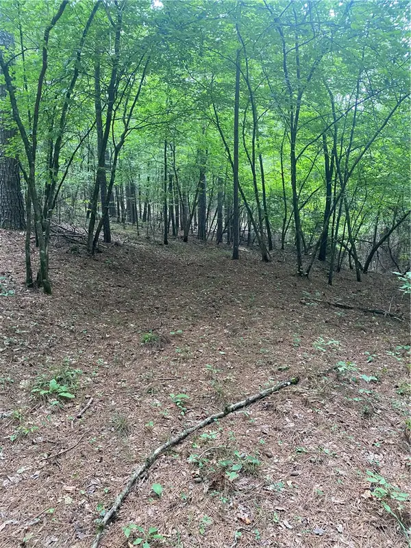 Tbd Cr 5211, Oark, AR 72852