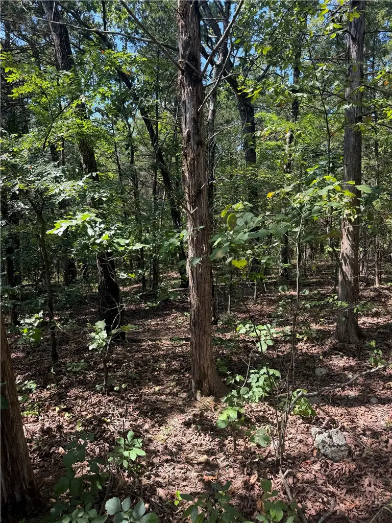 TBD (Lot 18) Larchwood Drive, Diamond City, AR 72644 - #1