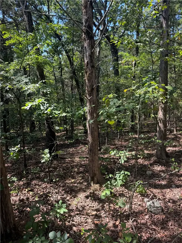 TBD (Lot 18) Larchwood Drive, Diamond City, AR 72644