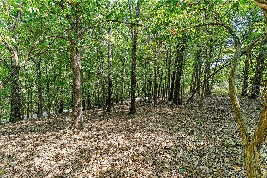 3.15 Acres War Eagle Blacktop Road, Springdale, AR 72764 - #2