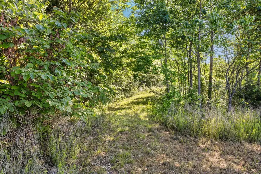 Hwy 221, Eureka Springs, AR 72632 - #2